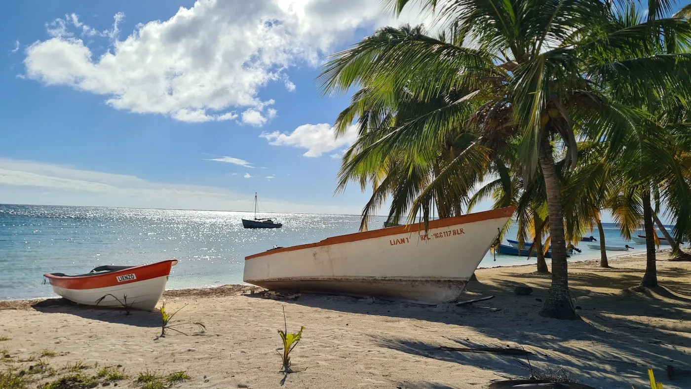 Catamarán a Isla Saona